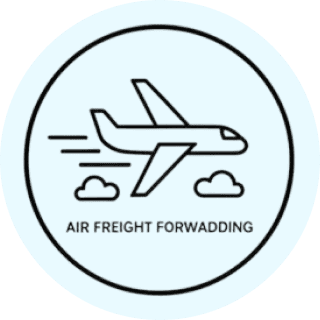 IATA-certified air freight forwarding — 1,000 MT annually to Middle East, Europe, and North America